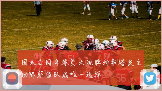 国米合同年球员大洗牌姆希塔良主动降薪留队成唯一选择